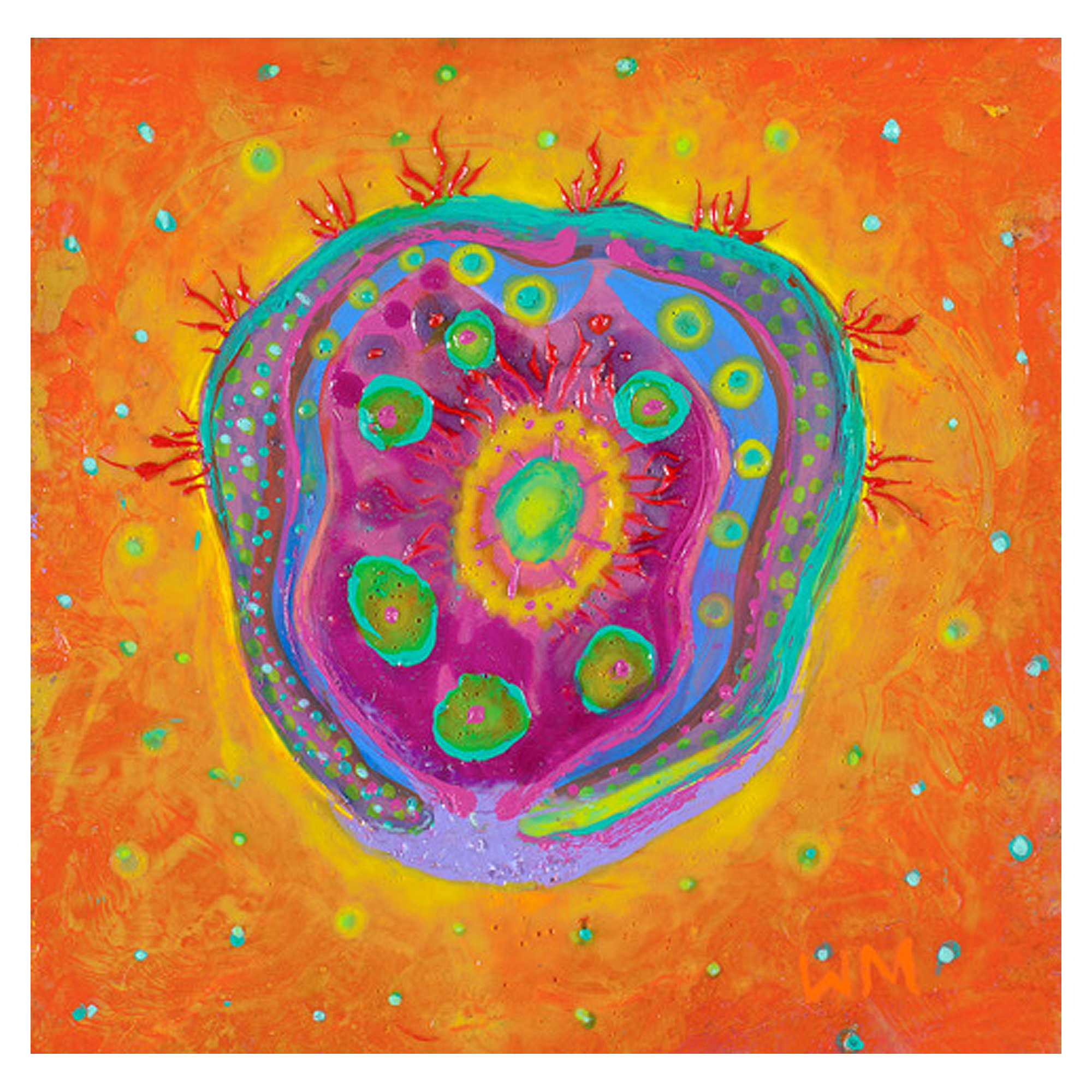 Wille Marlowe Cosmic Passion Flower 1