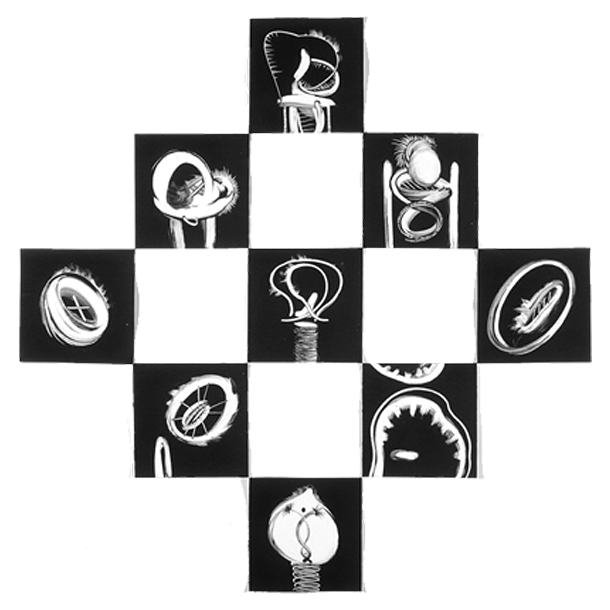 Willie Marlowe Modular Installations